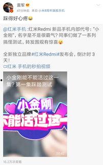 小金爆料视频,精彩瞬间一网打尽